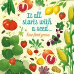 It all starts with a seed… how food grows-min