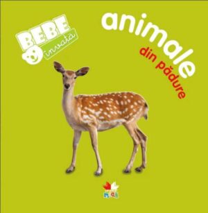 Animale din padure
