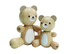 5264 Bear and Little Bear scaled