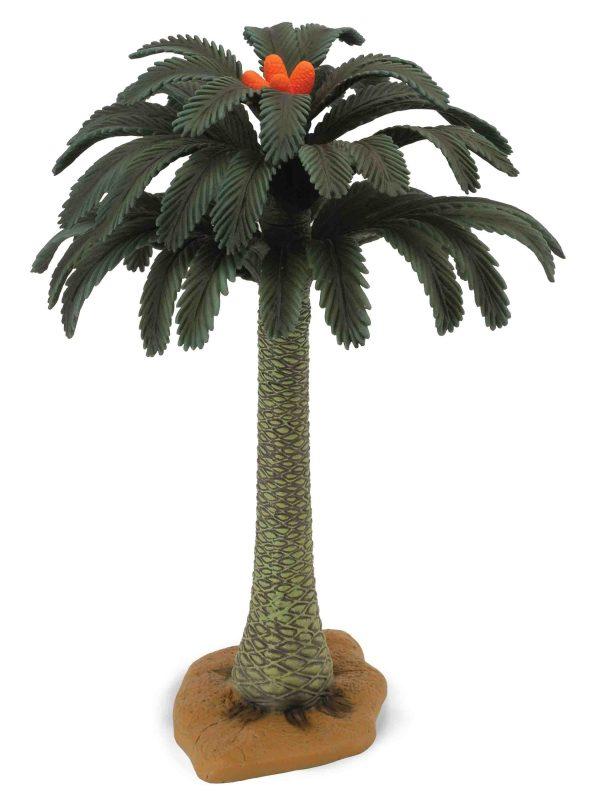 Copac Cycad, Collecta