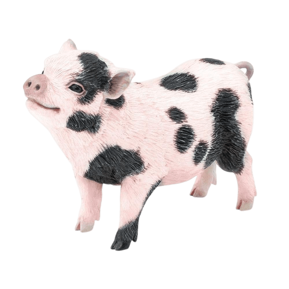 Animale domestice
